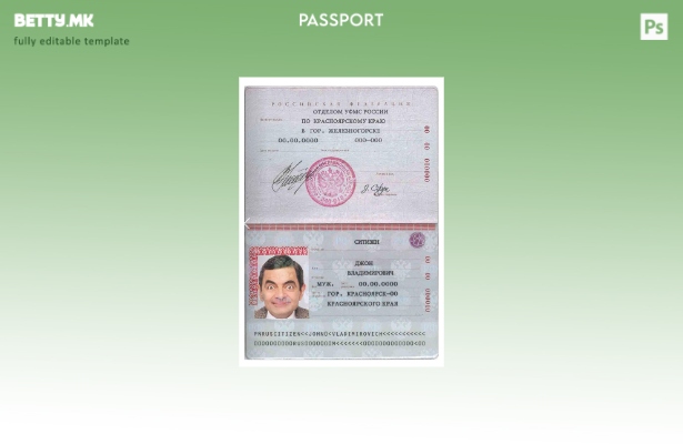 модерен стил Руски Стандарден шаблон за пасош